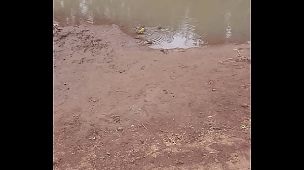 GripygripygripygripyVerification video